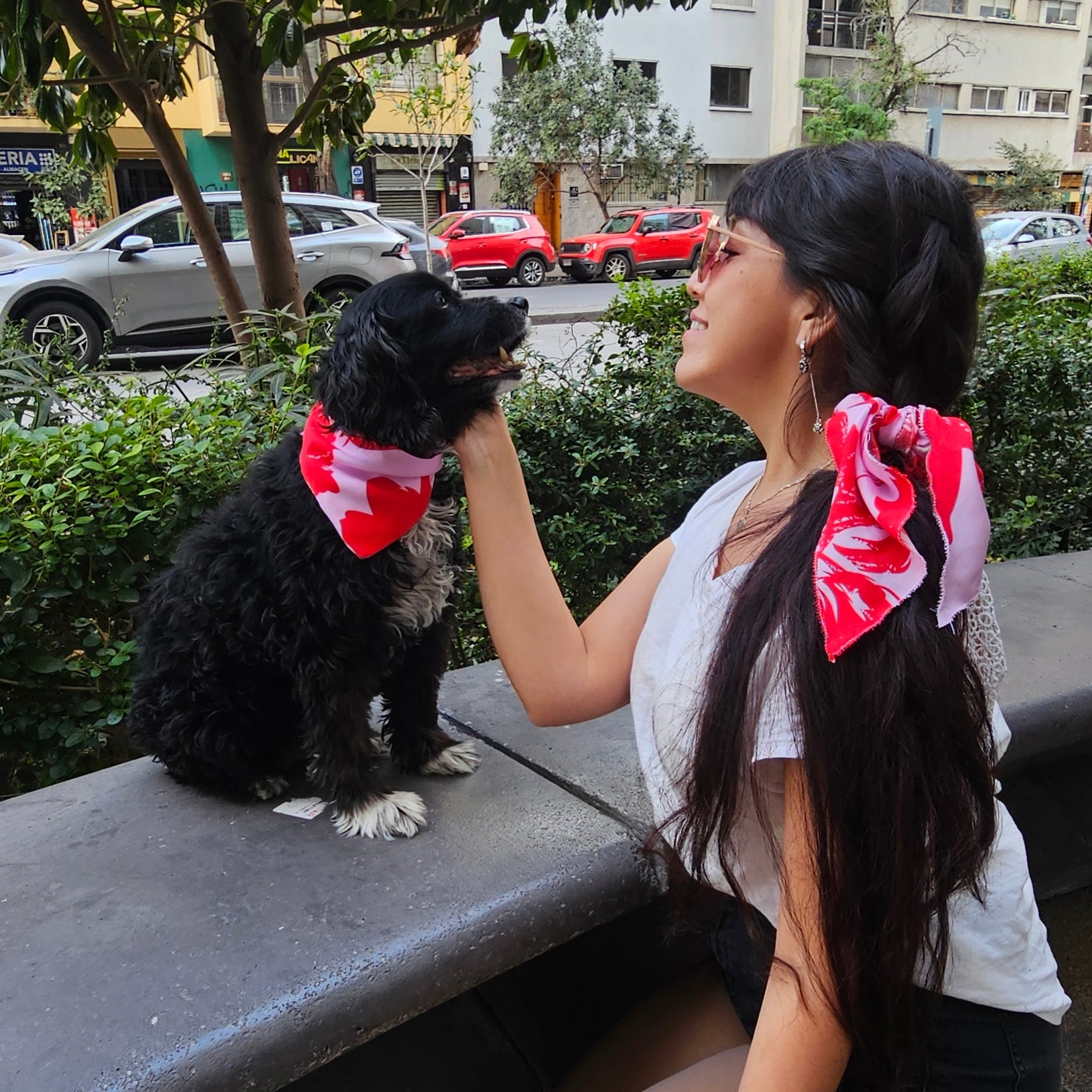 Caja Amor de patitas