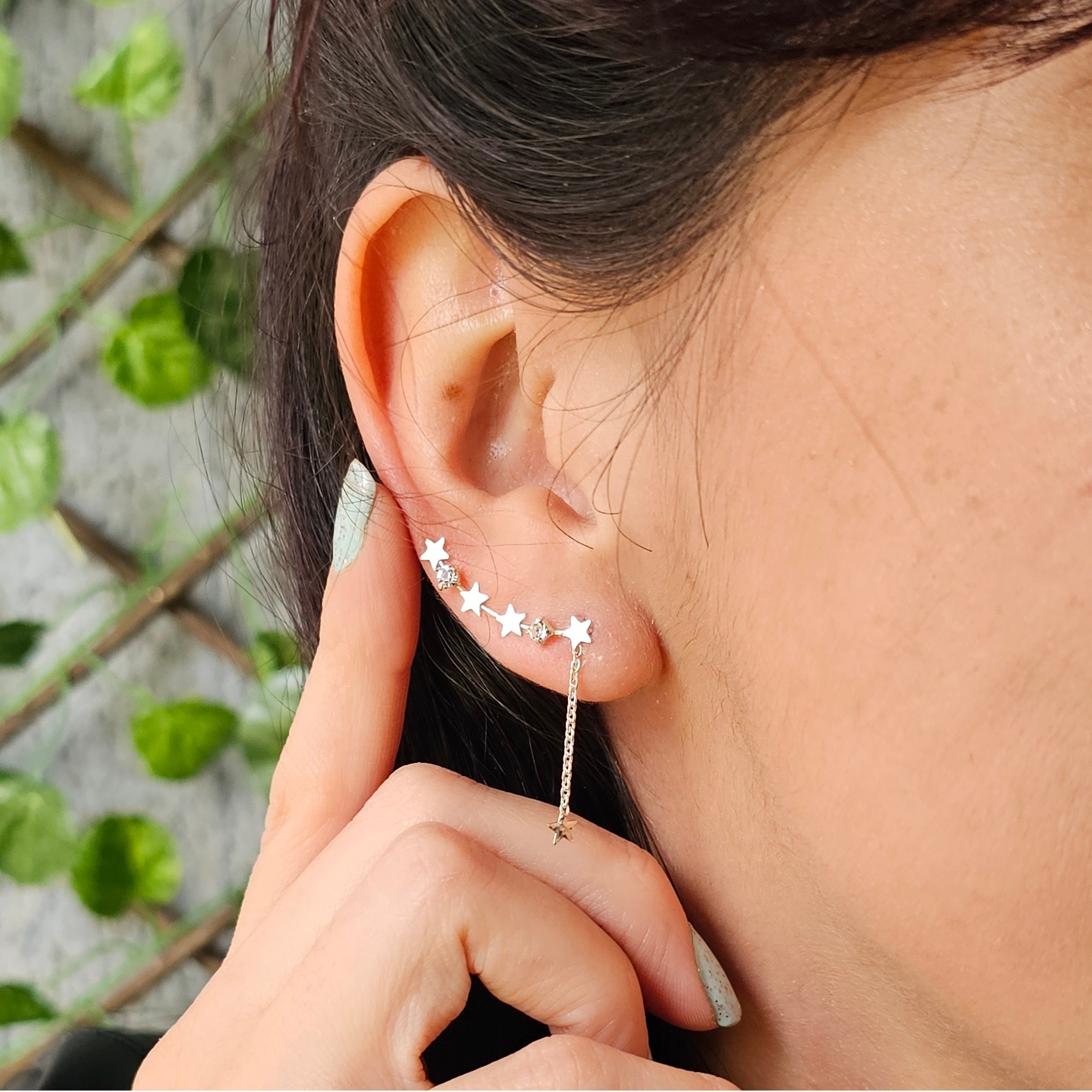 Aros Trepadores Lluvia de Estrellas - La Casa 32