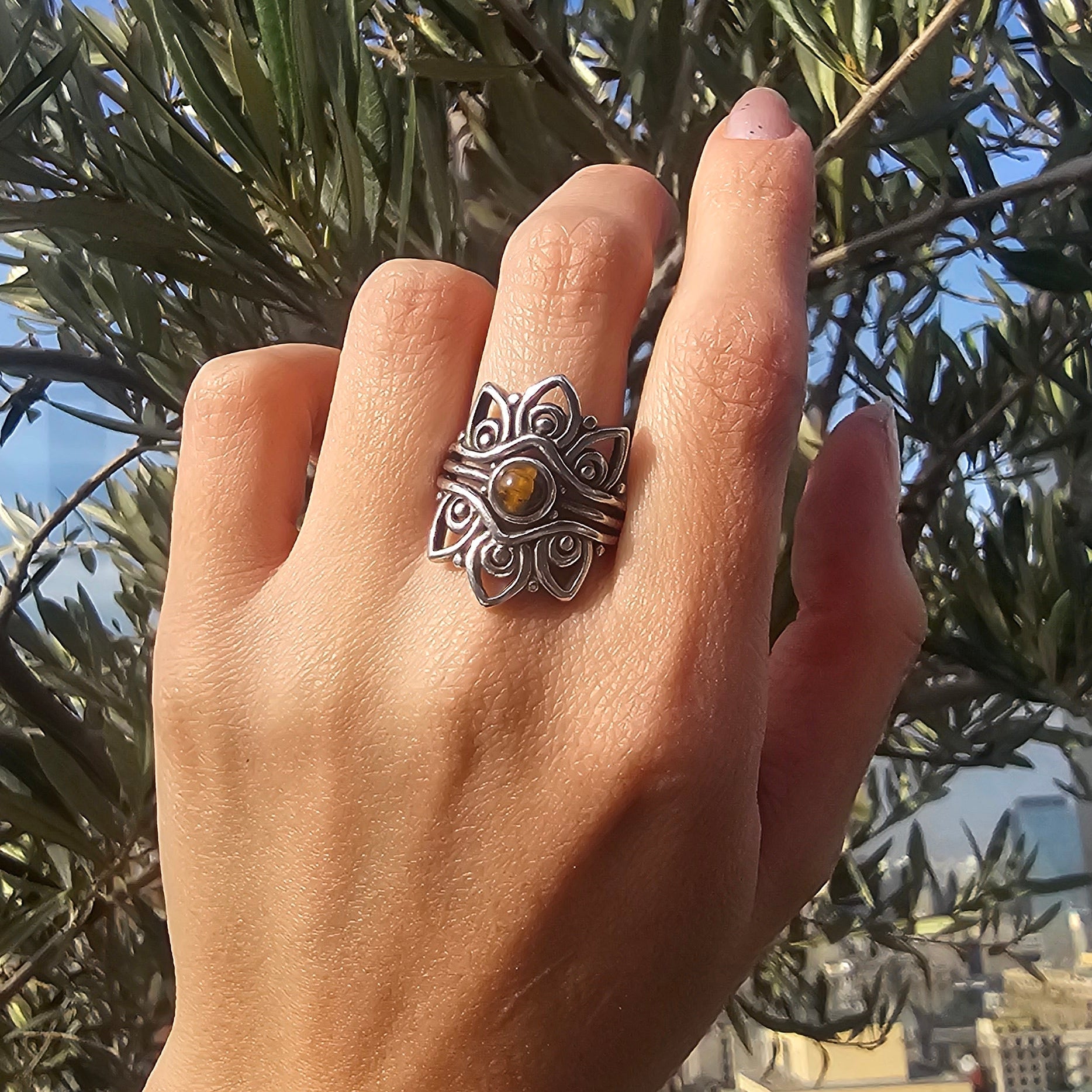 Anillo Alaya