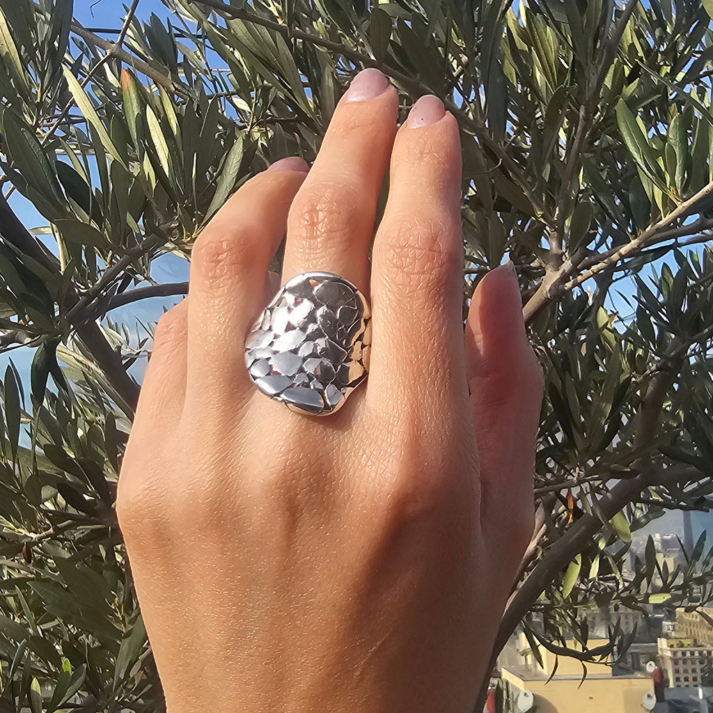 Anillo Petra