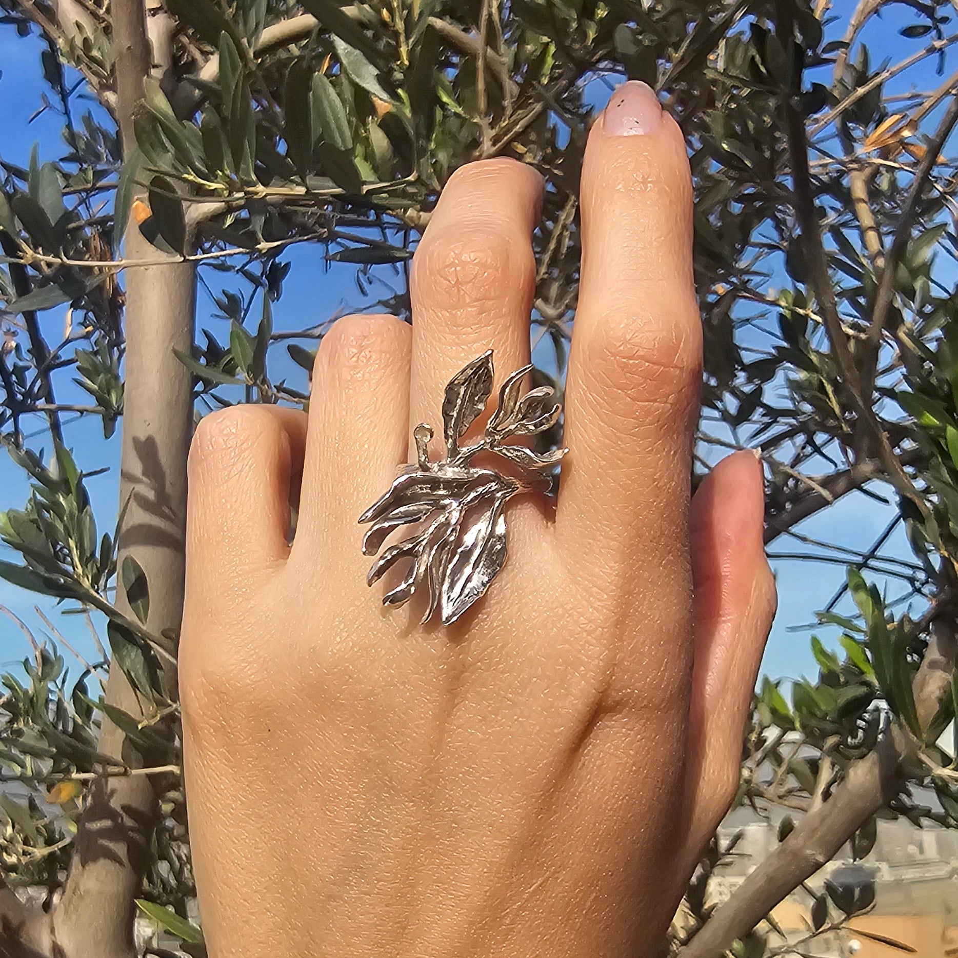 Anillo Sakha