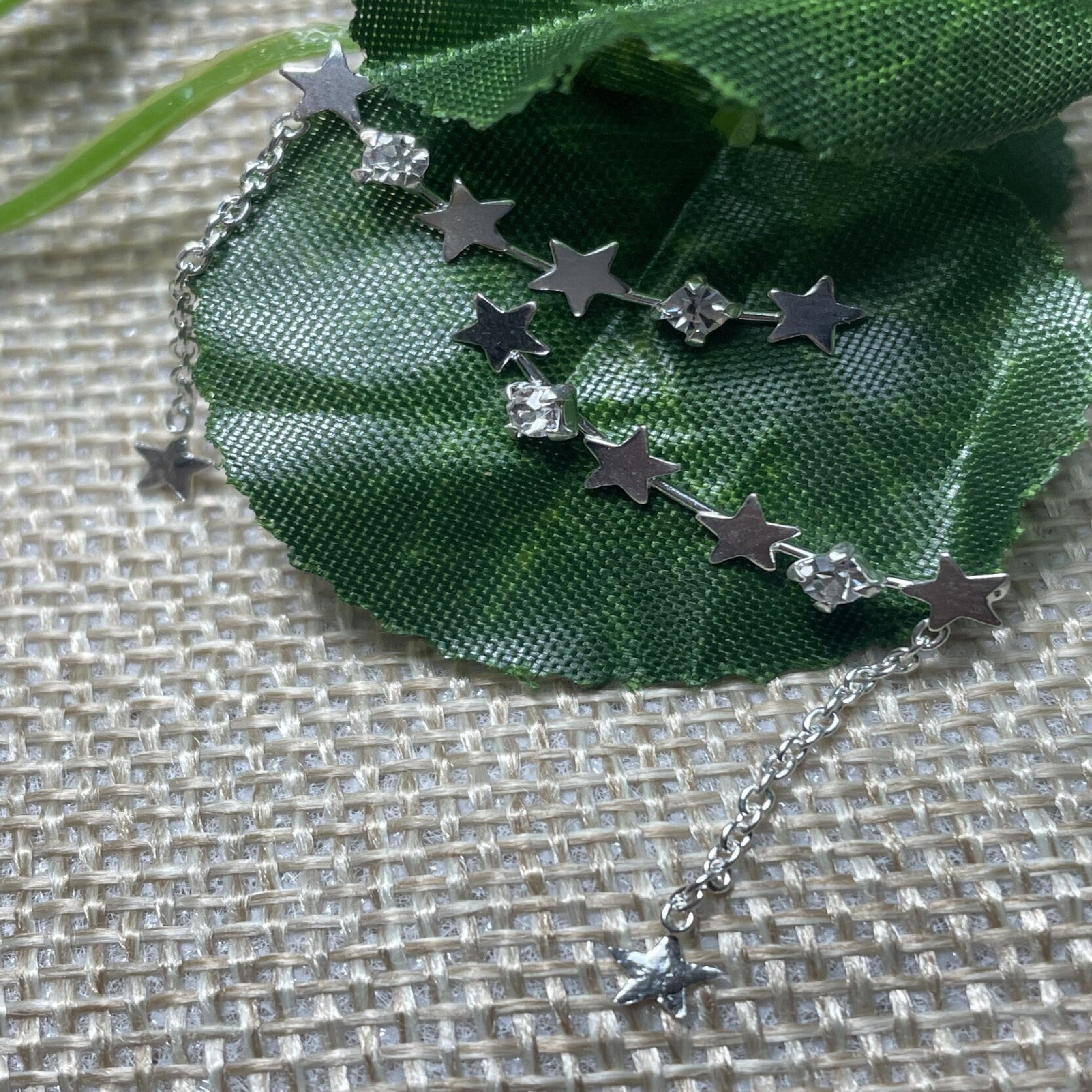 Aros Trepadores Lluvia de Estrellas - La Casa 32