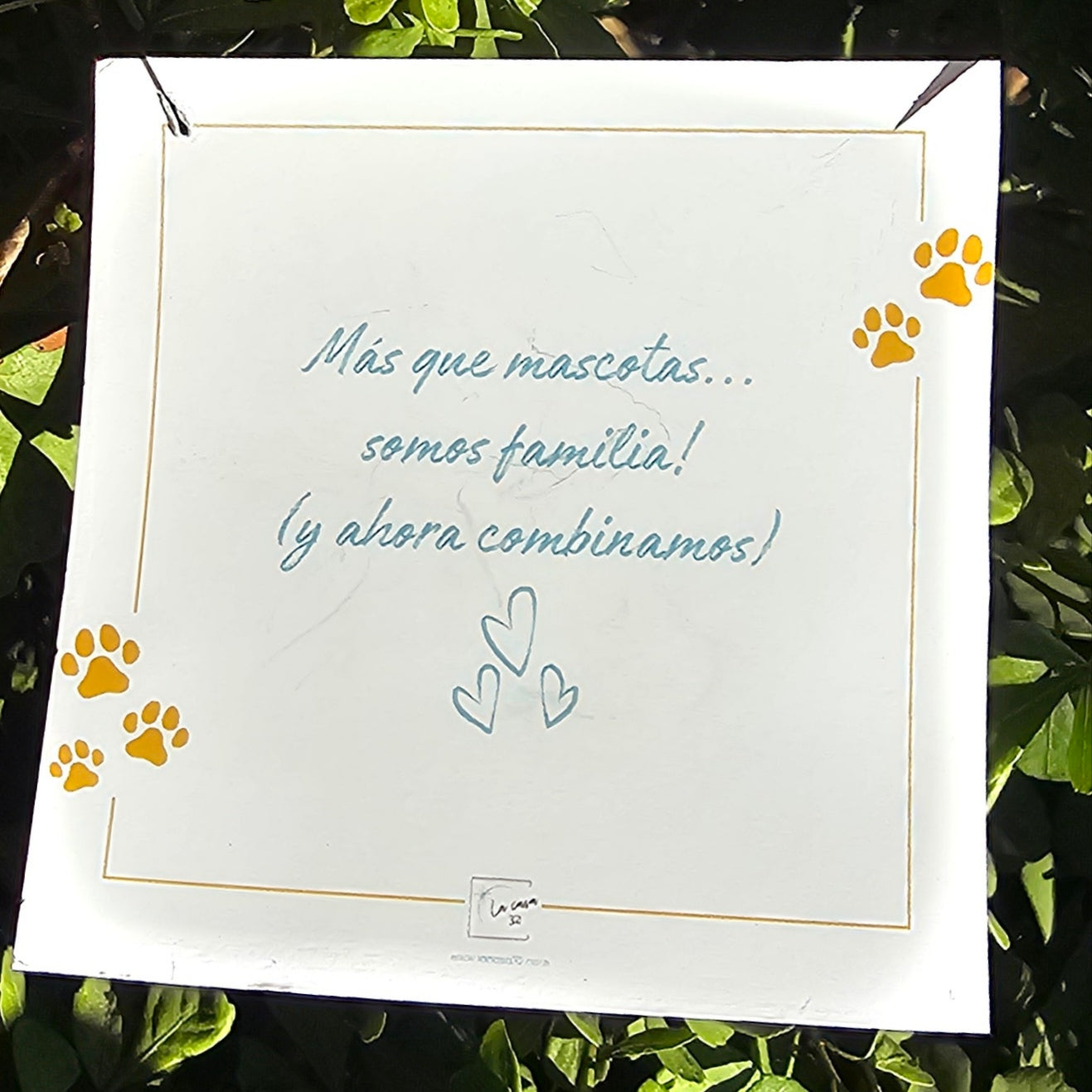 Caja Amor de patitas