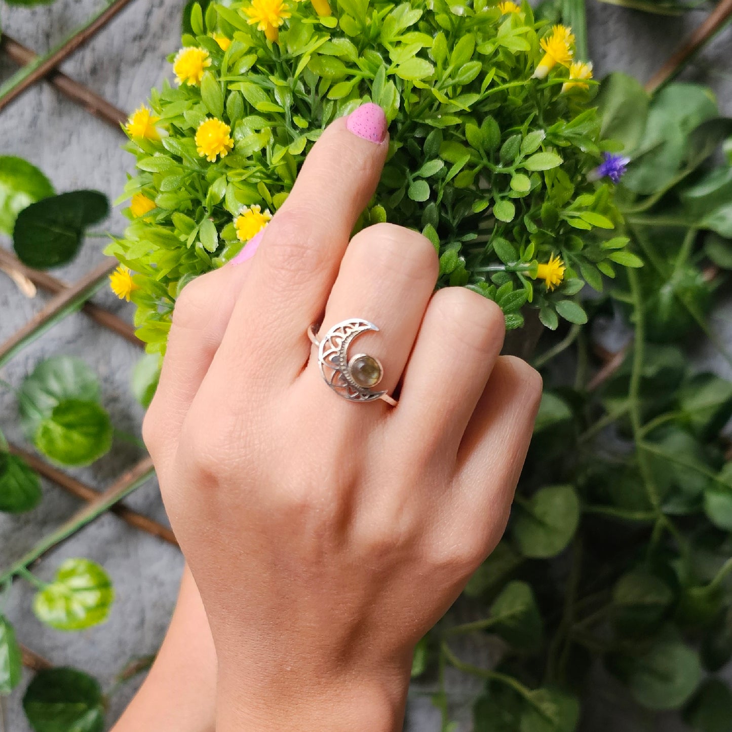 Anillo Anumati