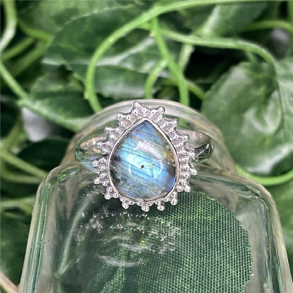 Anillo Boond - La Casa 32