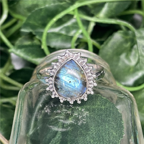 Anillo Boond - La Casa 32